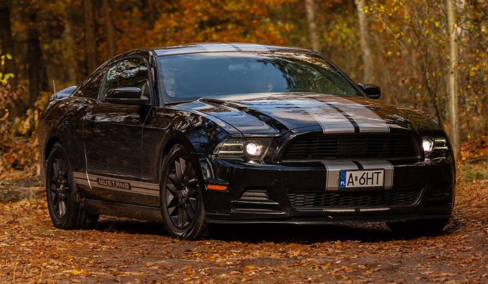 Ford Mustang 2014 MANUAL