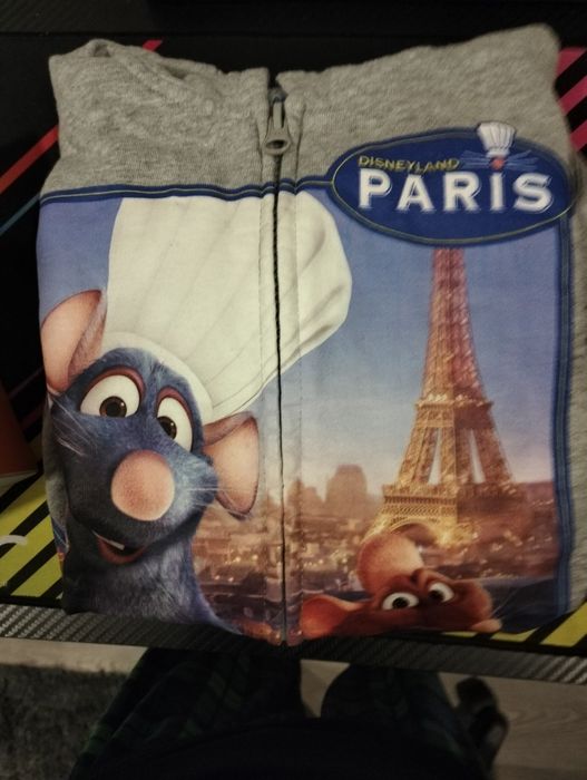 Casaco da Disneyland de Paris do ratatouille