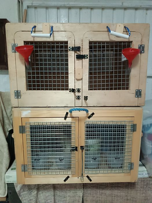 Transportadoras para cães pequenos, gatos ou outros animais pequenos.