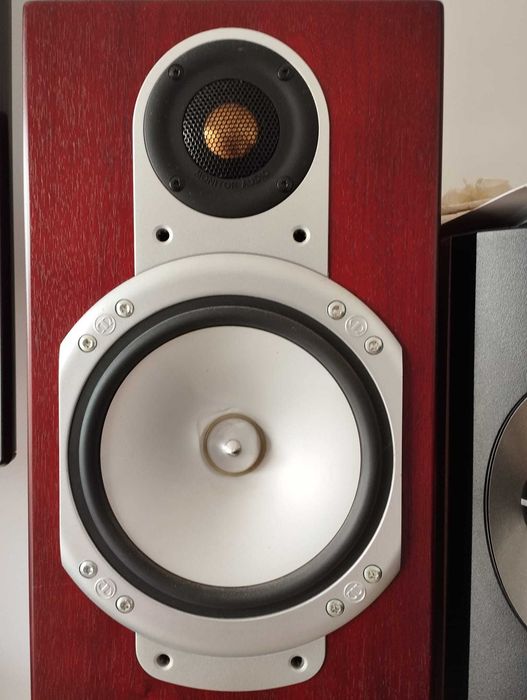 Monitor Audio Silver RS8513481846114887684