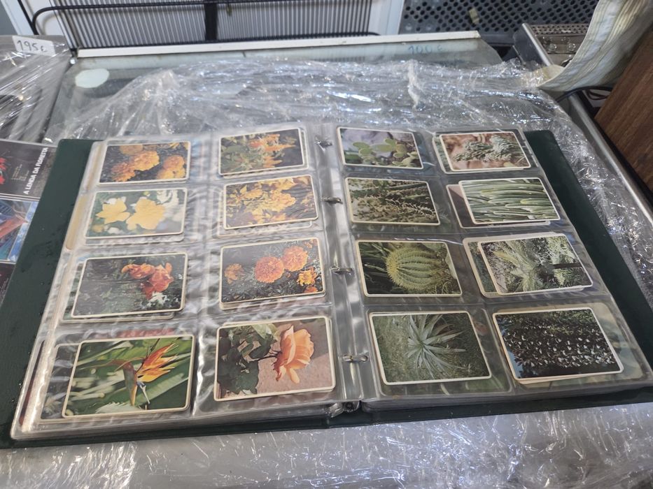 1300 calendários de bolso em estado novo a partir dos anos 70. 130 euros .