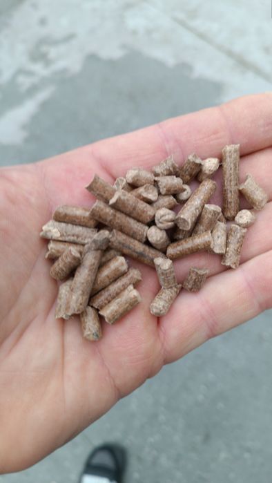 Pellet A2 6 mm pelet twardy mieszany 1005 kg