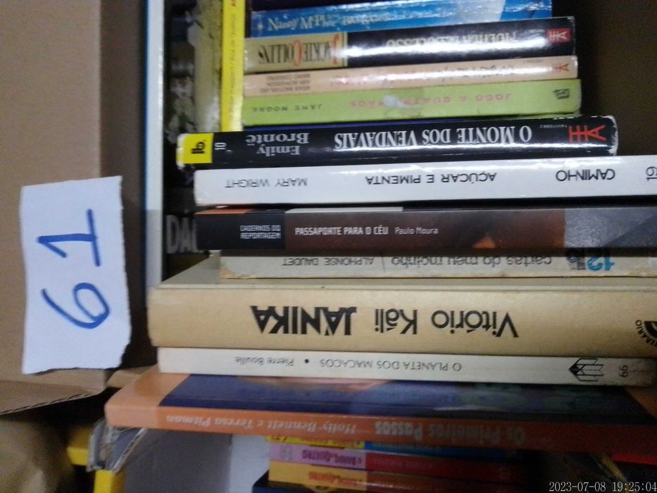 LOTE 61 - LIVROS Diversos - Vendidos EM SEPARADO - Preços Vários
