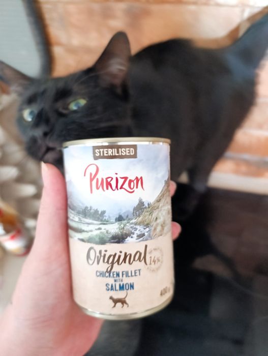 Karma Purizon dla kotów, Nowa!, Tanio
