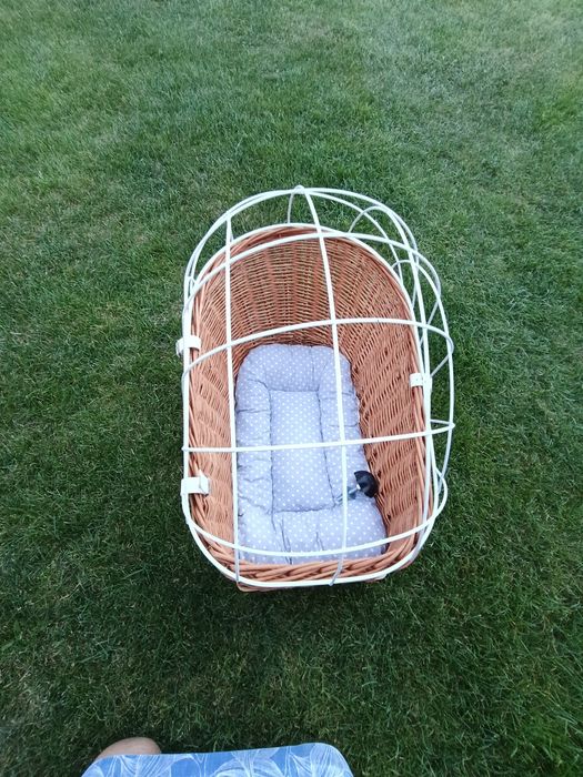 Koszyk dla psa na rower