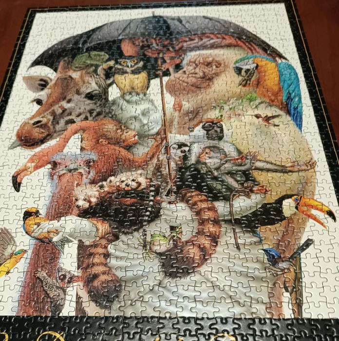 Puzzle 1000 Dama z parasolką