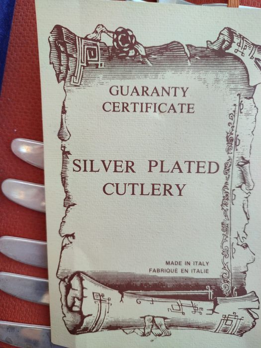 Faqueiro Banhado a prata