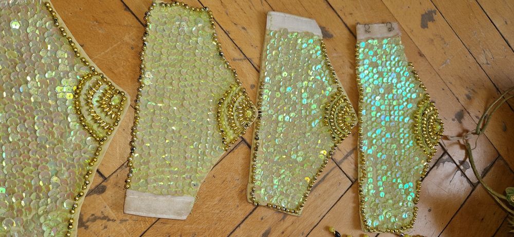 Passista brasil samba