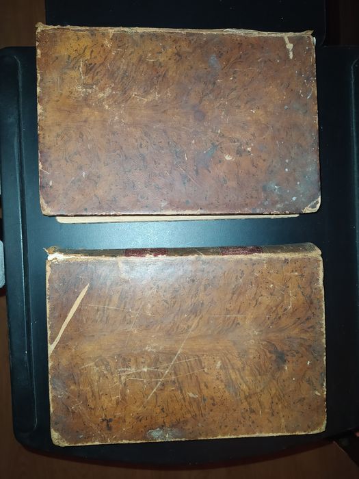 Dicionário Contemporâneo da Língua Portuguesa 1881 2 vol.