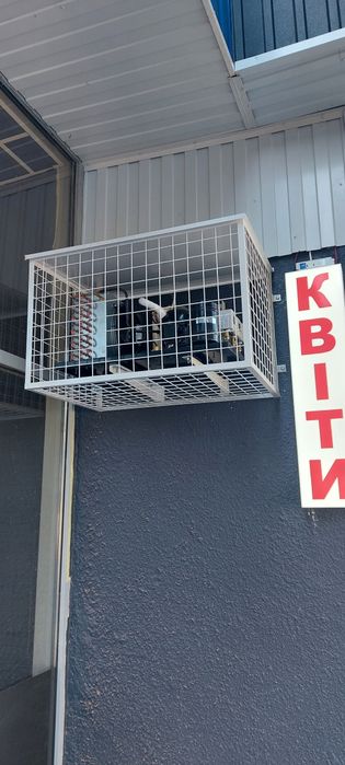 Холодильні вітрини для квітів