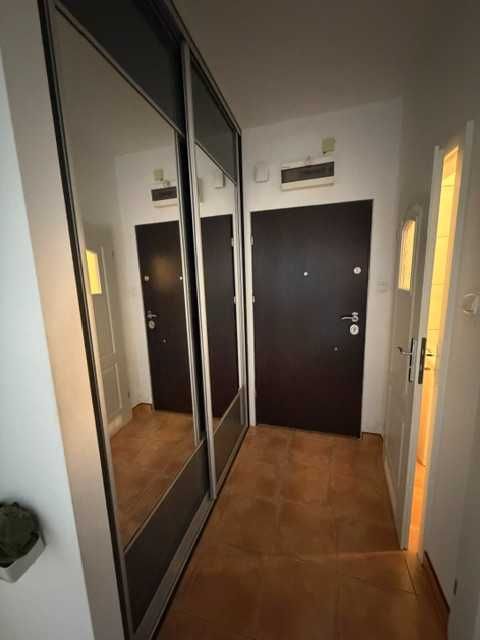 Zdjęcie 7