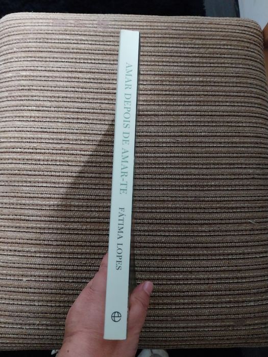 Amar depois de Amar-te. Portes incluídos.