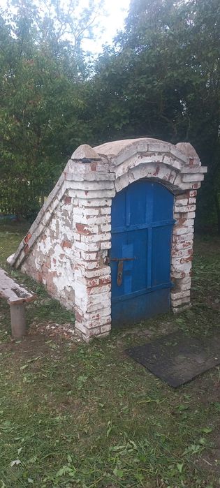 Будинок з ділянкою 60 соток