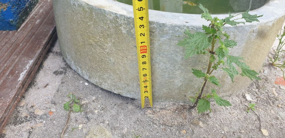 Comedouro / comedor de cimento para animais