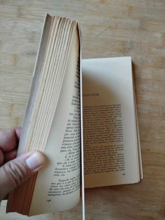Terra Bendita/Os Filhos de Wang Lung/ Casa Dividida de Pearl S. Buck