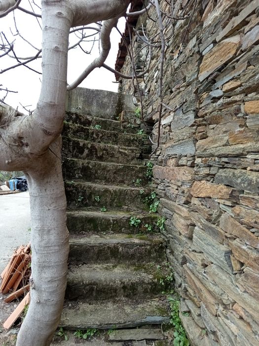 Vendo casa em sequeiros Moncorvo