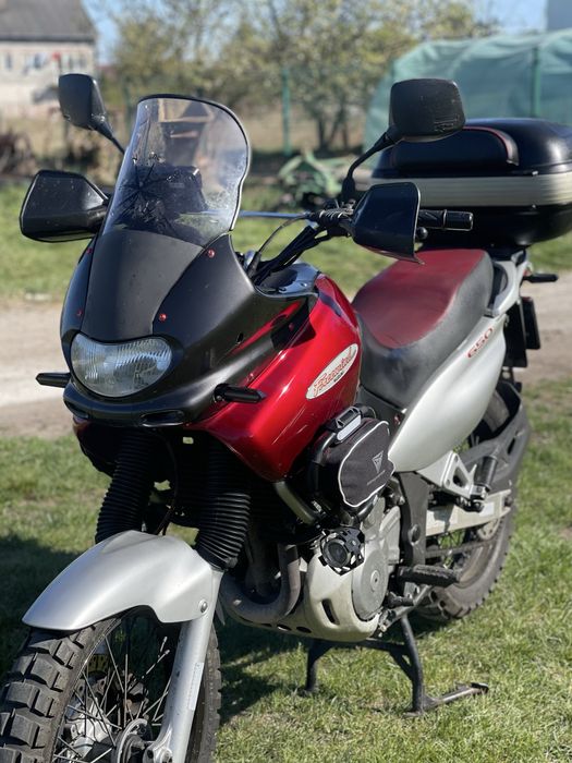 Suzuki XF 650 Freewind