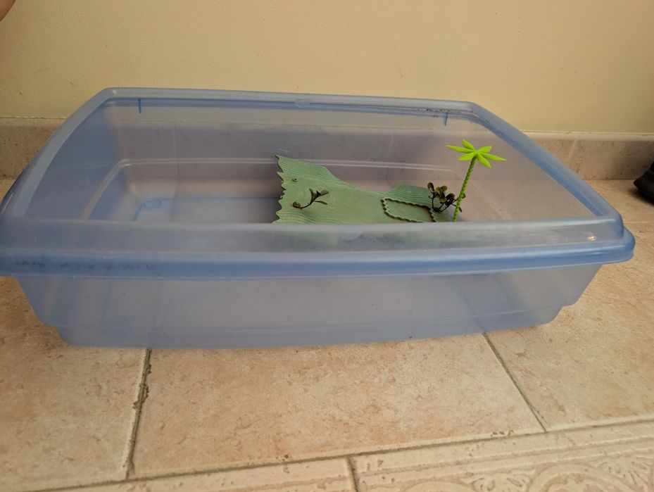Aquário para tartarugas