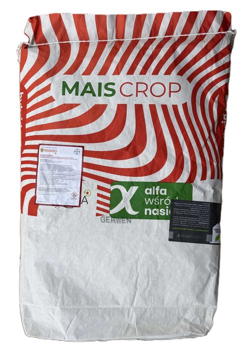 Kukurydza GERWEN FAO 230-240 C1 Kwalifikat Kiszonka 50tys nasion