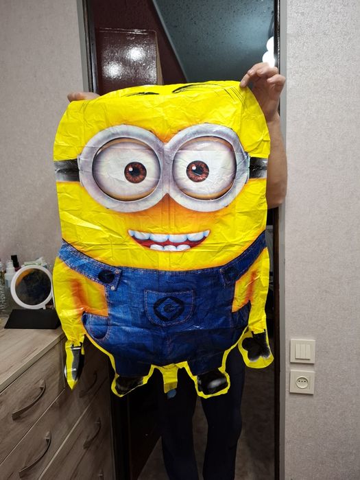 Шар миньон и большой шар