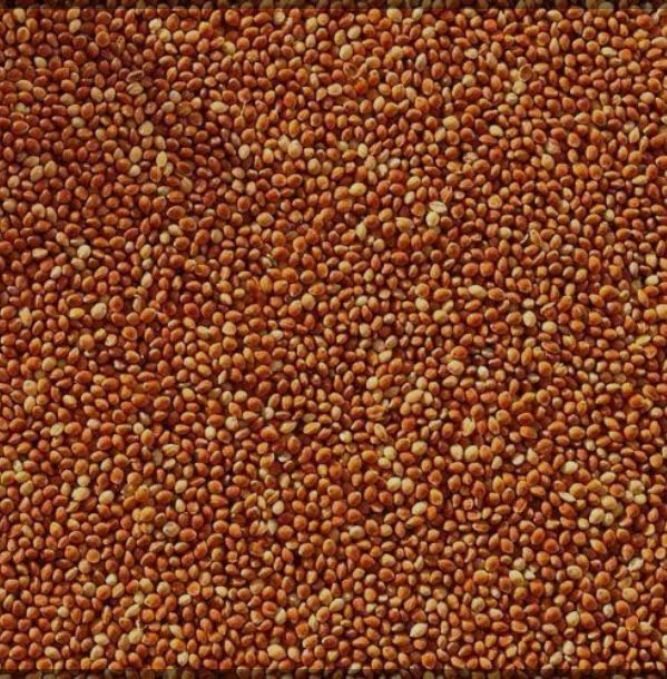 Продам : пшеницу, горох , пшено (красное)