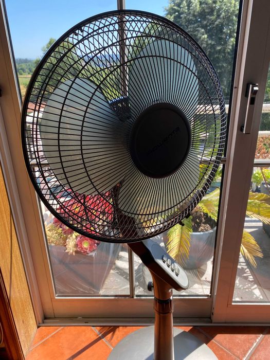 Ventoinha com pé Rowenta