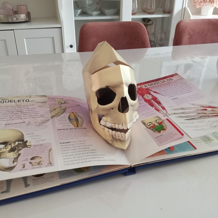 Estou vivo, livro pop-up