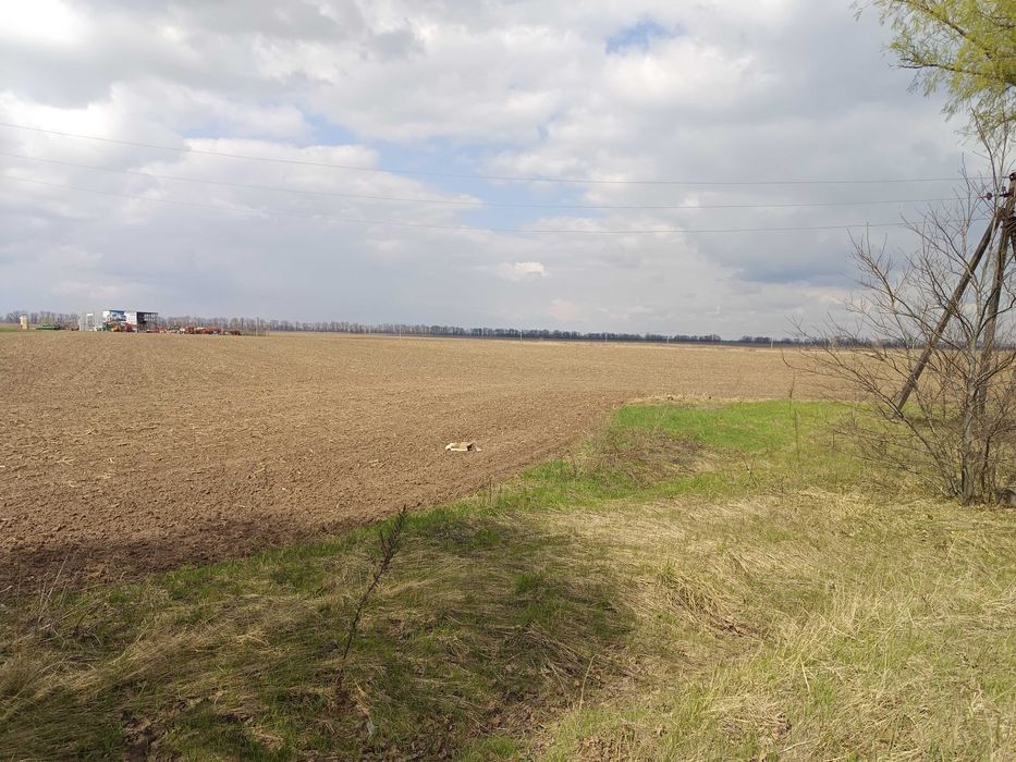 Земля сільськогосподарського призначення