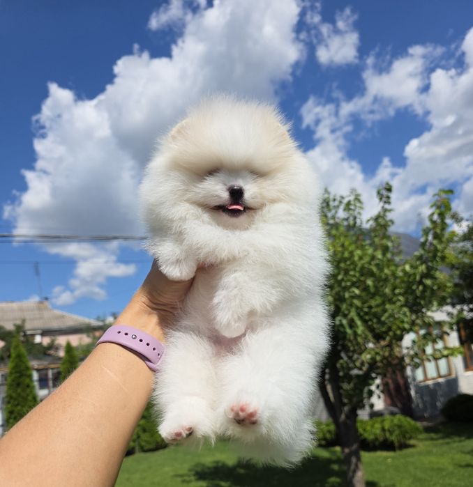 Фантастична красуня.