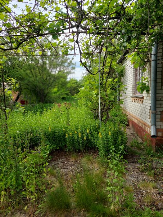 Будинок за адресою вул. Магістратська (площа 47 м²) - Atlanta.ua - фото 7