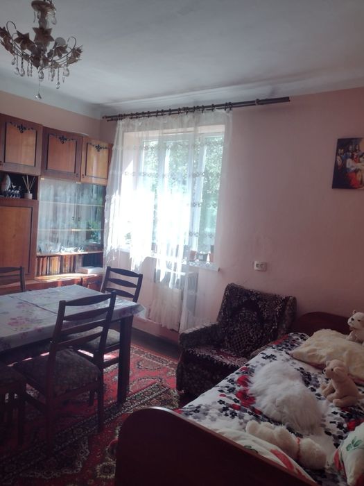 Продаж будинку в Давидові, два поверхи, ділянка 25 соток землі