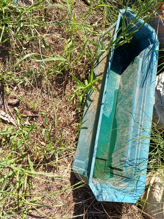 Vasos e pratos de plástico