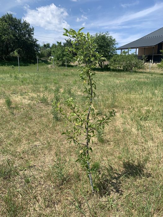 Земельна ділянка р-н Луначарського