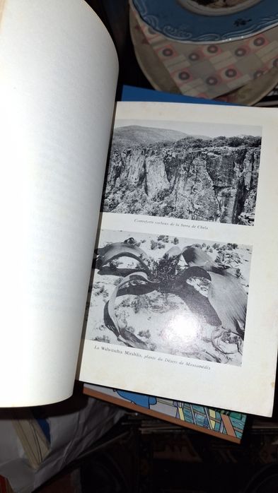 Angola monografia Norberto Gonzaga 1968 colonias ultramar