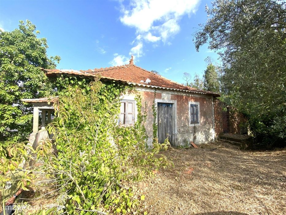 Moradias T3 / Terreno / São Simão de Litem / Pombal