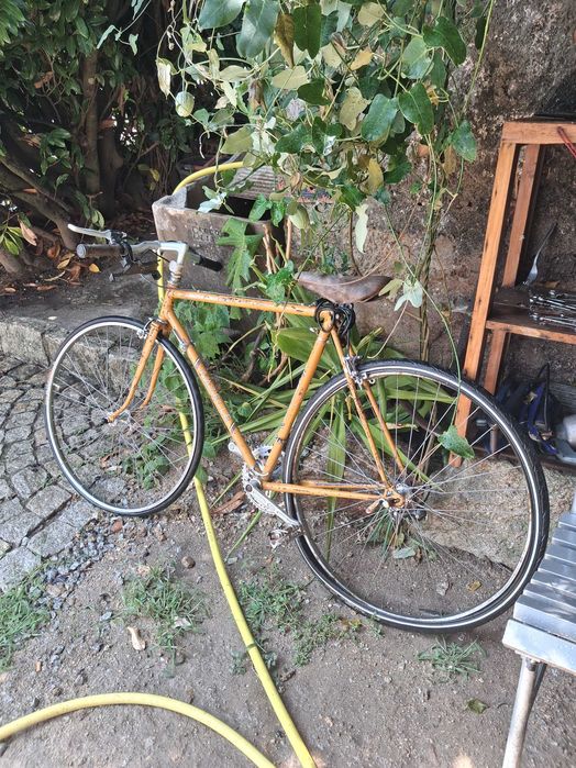 Bicicleta vintage champion mondial Gazelle