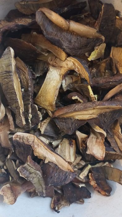 Гриби  сухї мікс