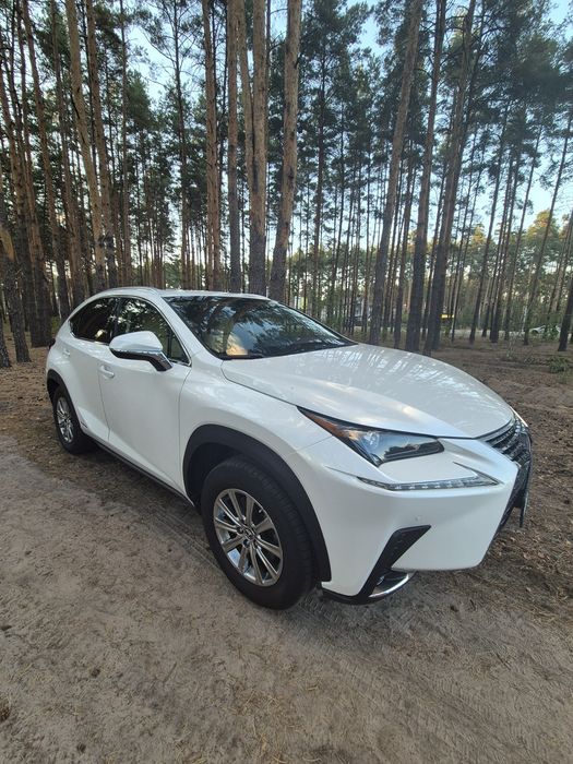LEXUS NX  hibrid 2019 р.в.