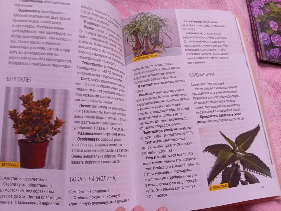 ,,Все о комнатных растениях"Екатерина Агаркова