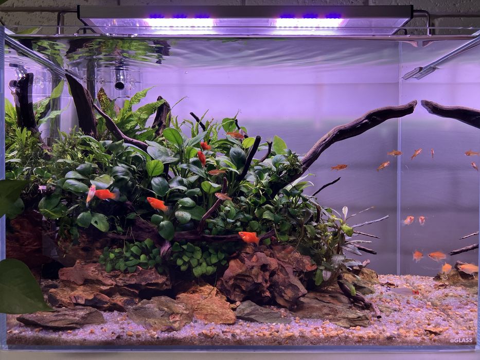 Аквариум Aquascape