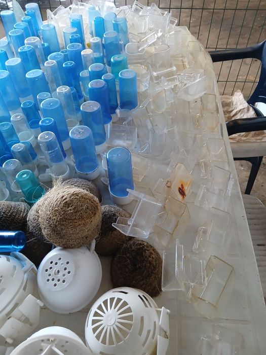 Asesorios para passaros