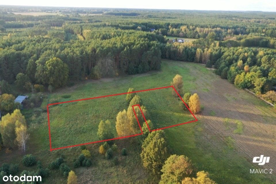 Działka z WZ wśród pól i lasów, blisko zjazd A2 w Trzcielu - Widok 2