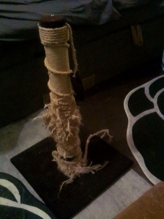 Царапалки для котов