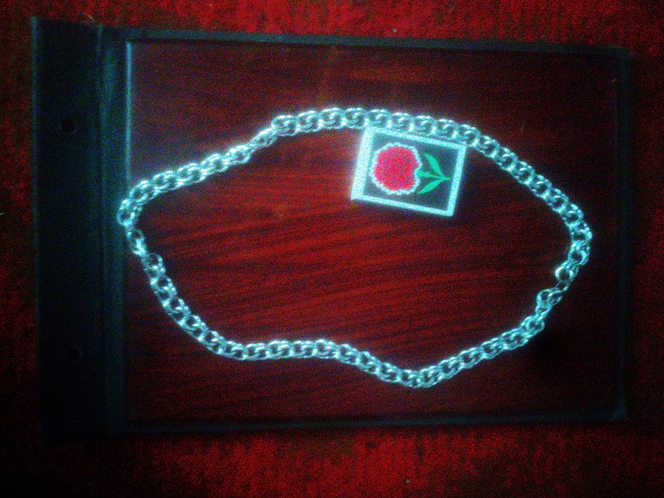 Серебряный жгут 100гр