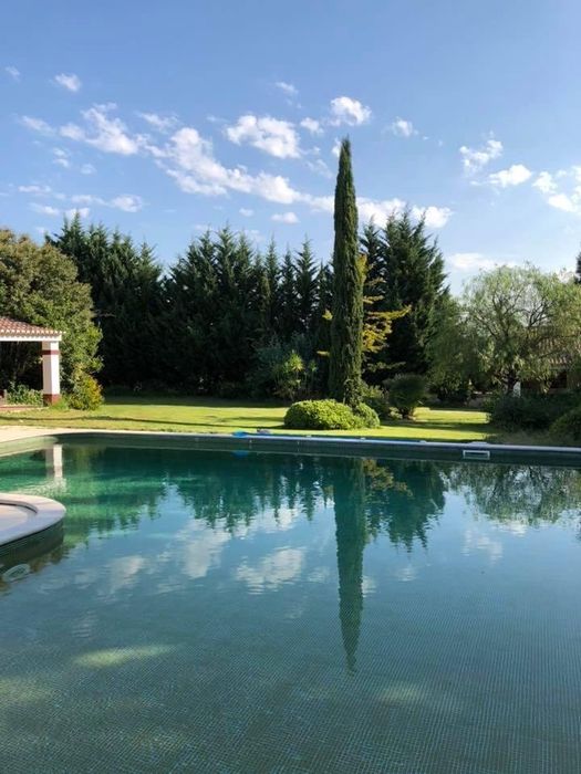 Jardineiro-Manutenção e remodelação de jardins e piscinas