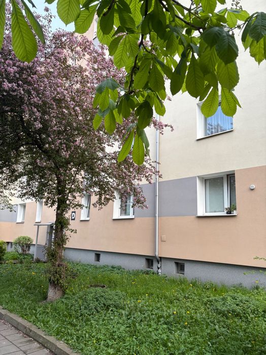 2 700,- 2 -pokojowe mieszkanie w Gdańsku - czynsz w cenie ( dzielnica Brzeźno ) 300 m. od plaży