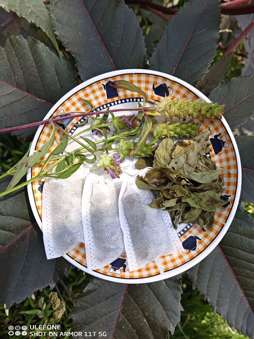 Prunela para infusão