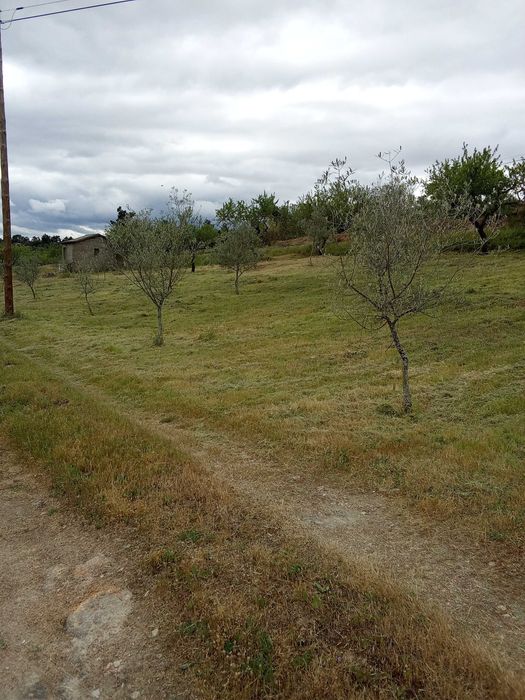 Terreno Agricula — Vila Flor E Nabo, Bragança