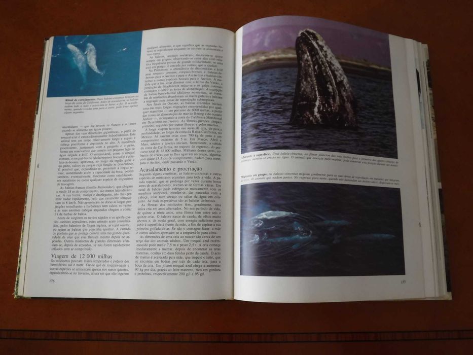 Segredos do Mar - Selecções do Readers Digest