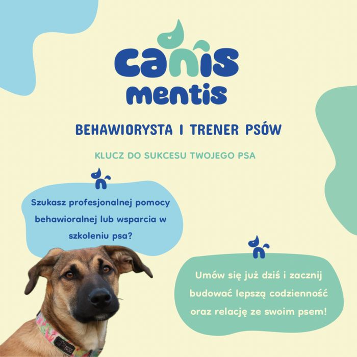 Behawiorysta - trener psów. Zapraszam na konsultacje behawioralne:)
